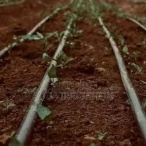 Rain Horse: Reliable Watering, Healthier Crops