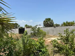 Diani 1/4 Acre Plots for Sale – Kes 3.3m