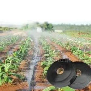 Grow More With Less – Thanks to Rain Horse!