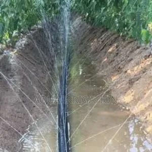 Rain Horse Drip Systems: The Smart Way to Irrigate