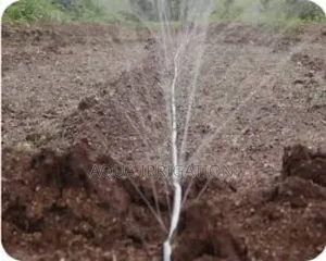 Innovative Drip Irrigation From Rain Horse!