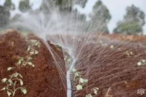 Grow More With Smarter Irrigation – Rain Horse