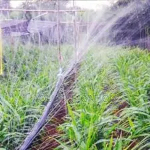 Reliable Irrigation for Every Farm – Rain Horse!