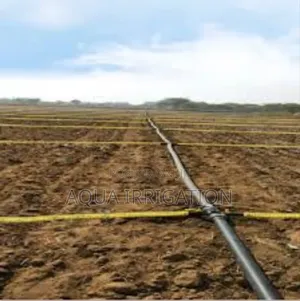 Rain Horse: The Future of Smart Irrigation