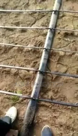 Rain Horse: The Power of Smart Irrigation