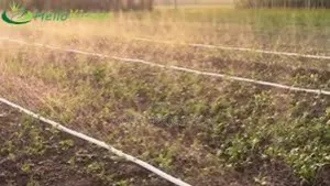 Irrigate With Precision, Grow With Confidence