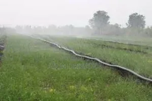 Rain Horse: The Future of Farm Irrigation