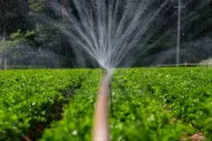 Sustainable Irrigation, Profitable Harvests!