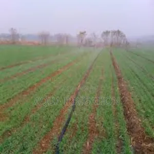 Farm Smarter With Rain Horse Irrigation