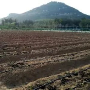 Rain Horse: Smarter Irrigation, Stronger Crops