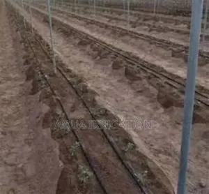 Smart Irrigation for Every Season
