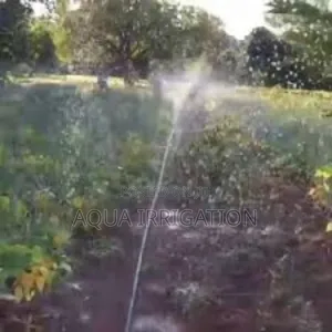 Maximize Every Drop, Grow With Rain Horse