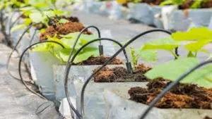 Maximize Yields, Minimize Waste With Drip Lines