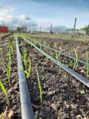 Drip Irrigation: Every Drop Counts