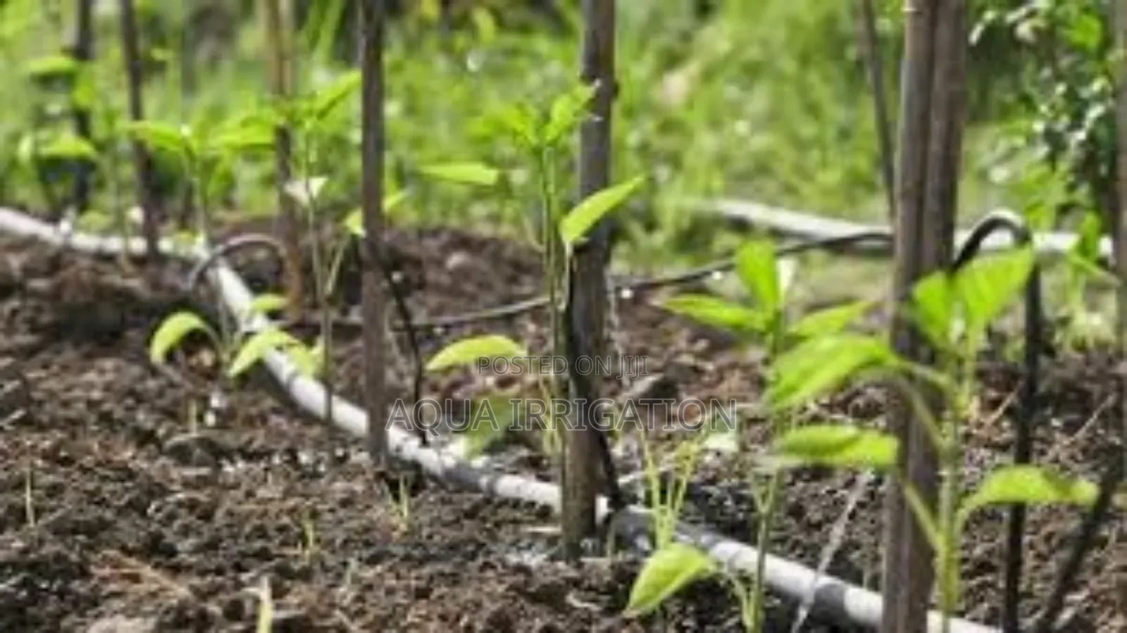 Precision Irrigation for Maximum Efficiency!