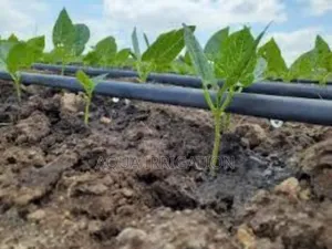 Grow More, Waste Less With Drip Lines!