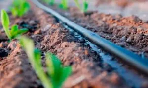Drip Irrigation: Smart Farming Starts Here