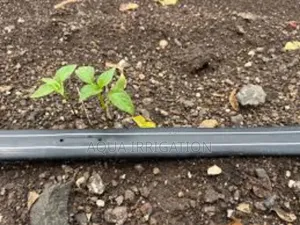 Precision Irrigation for a Greener Future!