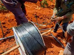 Sustainable Watering With Drip Irrigation