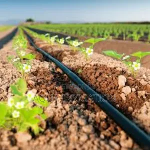 Drip Lines: The Smart Choice for Farmers