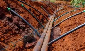 Drip Irrigation: The Best Choice for Farmers
