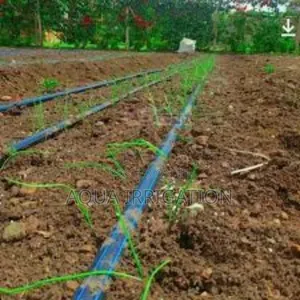 Drip Irrigation: The Smartest Way to Water