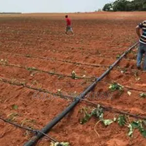 Drip Irrigation: Grow More With Less Water