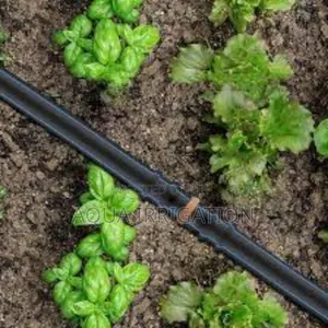 Smart Irrigation for Every Farmer