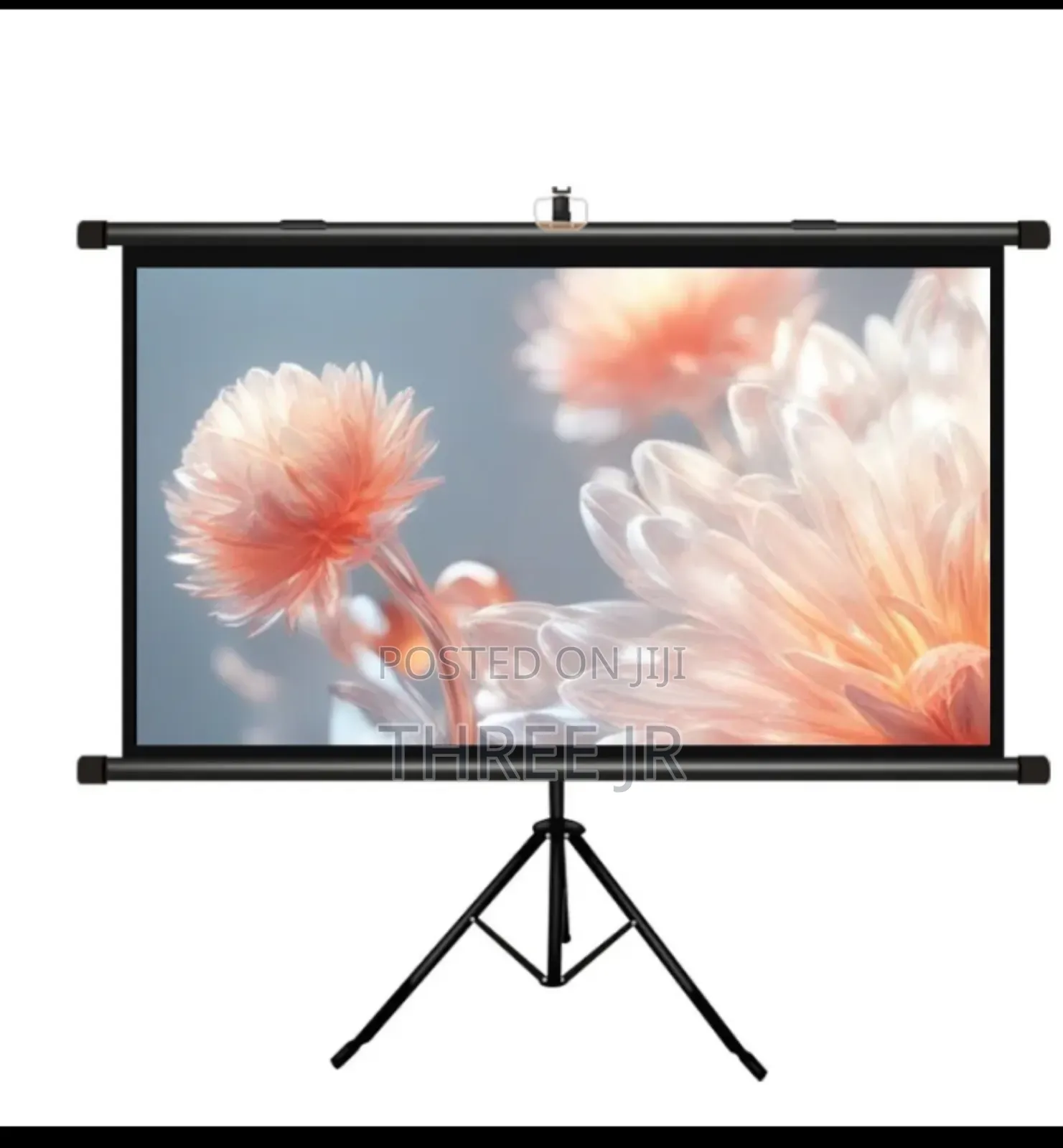 Nice Projector Screens for Office Use Easily Movable