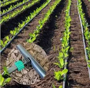 Water Efficiency Starts With Drip Irrigation!