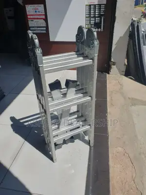 High Quality Multi Purpose Ladder 12ft