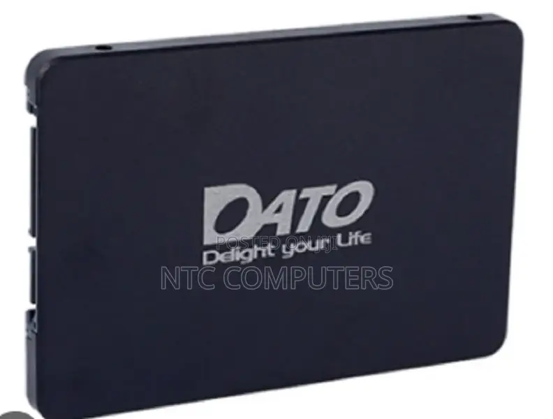 Dato Ds700 256gb M.2 Nvme SSD - Long