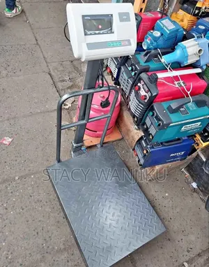 A12 Digital Weighing Scale/ 300kgs Digital Weighing Scale
