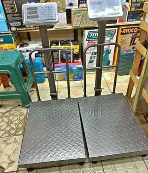 300kgs Digital Weighing Scale/Weight Platform Weighing Scale