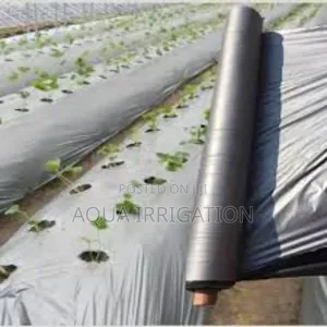 Mulch Film: The Future of Sustainable Farming