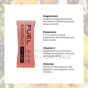 Fuel Electrolyte Sachet X 20