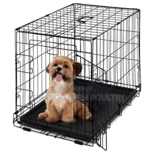 Cat's, Rabbit, Puppies House