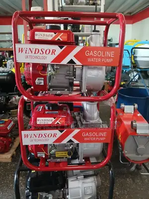 Windsor Gasoline Water Pump