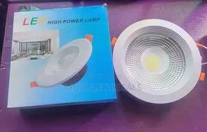 30w COB Downlighter