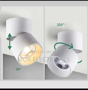 Tiltable Surface Downlighter