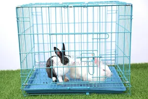 Rabbit Crates