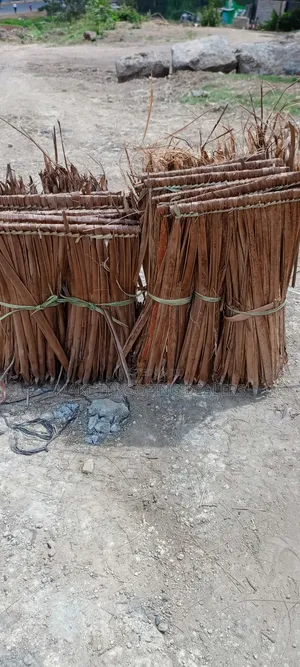 Makuti Mali Safi