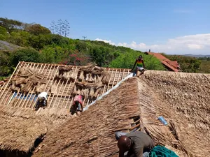 Makuti Roofing Thatchers