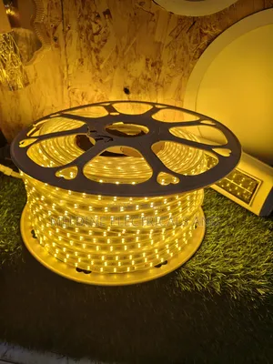 Double Line Snake Light Yellow