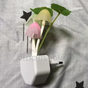 * Glow in the Dark Flower on the Wall Night Light Plug*