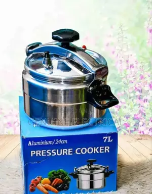 Brand New Pressure Cooker 2 Handle
