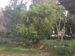Plot of Sale Eight Plot Nyali Beach Road