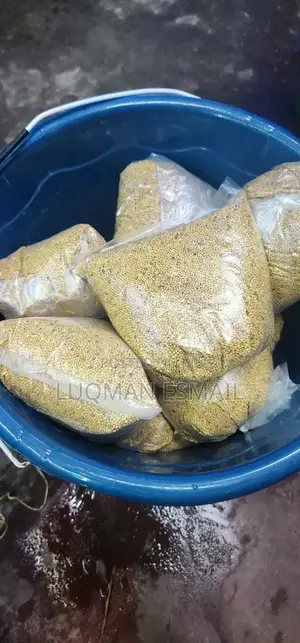White Millet