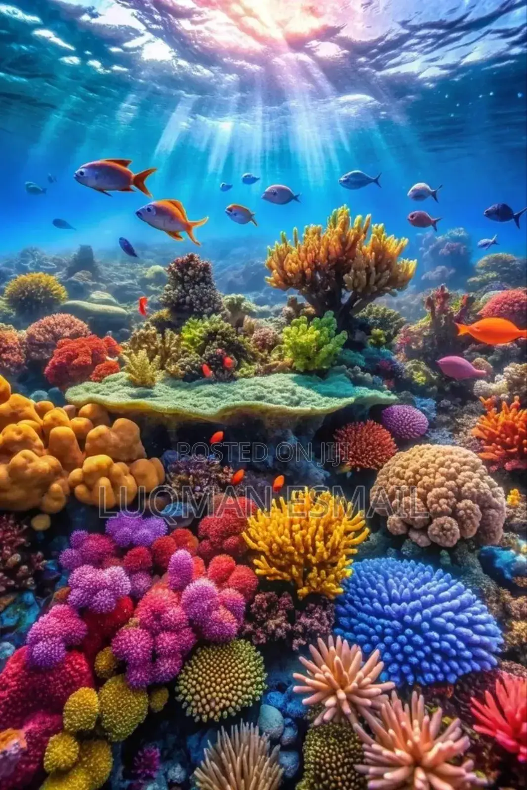 Aquarium Wallpapers