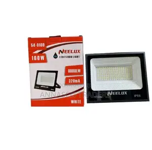 Neelux 100W Super Bright Floodlight